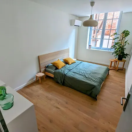 Douceur, Elegance Au Coeur D'albi Albi