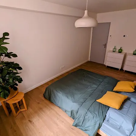 Douceur, Elegance Au Coeur D'albi