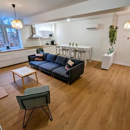 Douceur, Elegance Au Coeur D'albi *