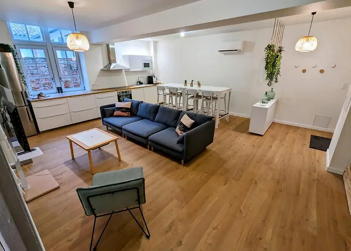 Douceur, Elegance Au Coeur D'albi *