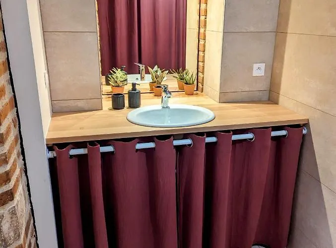 Douceur, Elegance Au Coeur D'albi *