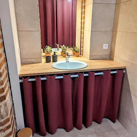 Douceur, Elegance Au Coeur D'albi *